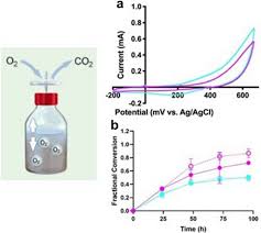 Maybe you would like to learn more about one of these? Storage And Handling Of Pretreated Lignocellulose Affects The Redox Chemistry During Subsequent Enzymatic Saccharification Bioresources And Bioprocessing Full Text