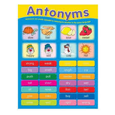 Antonyms Chart