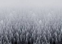 Allmacwallpaper provides wallpapers for your following macs: 64 Desktop Wallpaper Winter On Wallpapersafari
