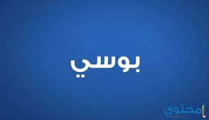 معني اسم بوسى وصفاتها الشخصية Bosy معاني الاسماء Bosy اجدد اسماء البنات In 2020 Incoming Call Incoming Call Screenshot Weather
