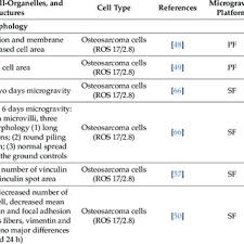 Plastids are absent in bacteria, certain fungi it is the innermost layer of the cell wall and lies between primary wall and plasma membrane. Literature Overview Of The Effects Of Microgravity On Cell Organelles Download Scientific Diagram
