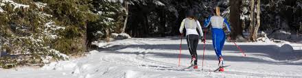 Our Tips To Choose Your Skis In Nordic Classic Skiing