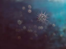 09:57 | el ministro de salud, norihisa tamura ha informado hoy que la nueva cepa de coronavirus llegó al país a través de. Asi Funcionan Las Dos Nuevas Cepas Del Coronavirus Una De Ellas Mas Agresiva Gaceta Medica