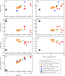 To turn off the default rwin auto tuning behavior, (in elevated command prompt) type: How Animals Glide From Trajectory To Morphology