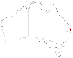 Image result for Indigofera circinella