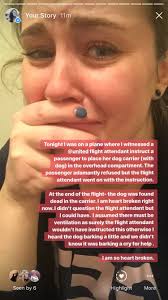 frederick calalang (@phredcal)