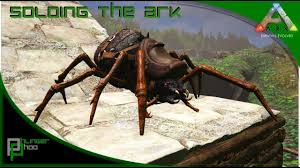 Soloing The Ark S4e30 Araneo Spider Taming And Chemistry Bench Youtube Survival evolved, the araneo eats spoiled meat, raw meat, and raw fish meat. soloing the ark s4e30 araneo spider taming and chemistry bench