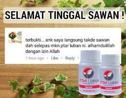 Contextual translation of penyakit sawan into english. Usaha Doa Dan Yakin Allah Akan Penawar Sawan Epilepsi Facebook