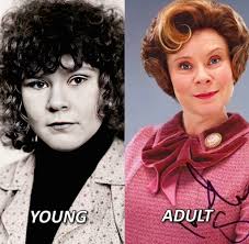 Harry Potter -The Hogwarts Wizard