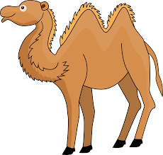 Download high quality camel clip art from our collection of 41,940,205 clip art graphics. Camel Clipart Free Download Transparent Png Creazilla