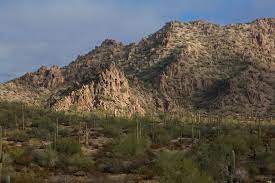 Top hotels close to organ pipe cactus national monument. Organ Pipe Cactus Nm Brennis Reisewelt