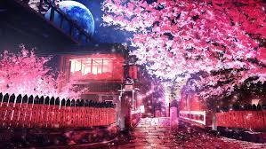 Looking for information on the anime t.p. Pink Leafed Tree Anime Sakura Tree Road Hd Wallpaper Wallpaper Flare