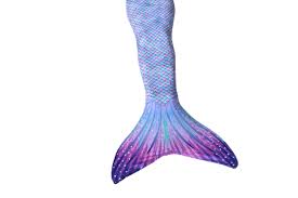 Maybe you would like to learn more about one of these? Mermaid Tails Mermaid Tail Mermaid Tails For Kids The Mermaid Academythe Mermaid Academy
