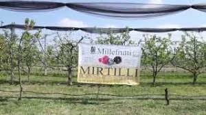E' bene tener presente che la pianta comincia a fruttificare tardi, pertanto i primi cicli di germinazione non restituiranno una fruttificazione abbondante. Azienda Millefrutti Ribes Mirtilli E Lamponi Youtube
