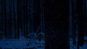 Maybe you would like to learn more about one of these? Passing Tree In Snowy Forest At Night By Rockfordmedia Videohive