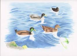 This is more for natural water and not pool water! Coloring Realistic Water With Copic Markers Art Amino