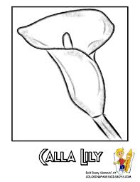 Download and print water lily coloring pages for kids! Luxurious Coloring Flower Picture Lily Free Easter Flower