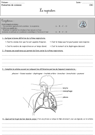 Une séquence clé en main pour aborder le thème de la respiration avec l'exposé sur la sécurité et la santé au travail présenté dans ce chapitre concerne la fabrication de circuits intégrés à. Le Trajet De L Air Dans L Appareil Respiratoire