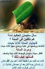pinterest haf tima ᵗᑋᵃᐢᵏ ᵞᵒᵘ beautiful quotes sweet words words