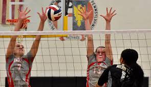 Image result for Deverra burchellii