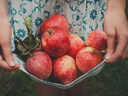The apple one free trial includes only services that you are not currently using through a free trial. Apples 101 Nutrition Facts And Health Benefits