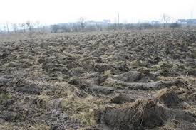 Pentru campania de plată a avansului pe 2020, procedurile de la agenția de plăți și intervenție pentru agricultură (apia) au rămas aceleași ca în anii trecuți în ceea ce privește drumul. CaÅ£i Bani Primesc Fermierii Din BistriÅ£a Nasaud De La Apia Pana Cand Se Va Face Plata