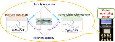 Organophosphorus Based Chemical Additives Induced Behavioral Changes In Zebrafish Danio Rerio Swimming Activity Is A Sensitive Stress Indicator Sciencedirect Text message fees may apply from your carrier. zebrafish danio rerio