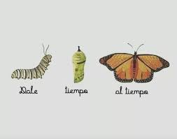 Mariposa Oruga Cambios Cambiar Crecer Evolucionar Oruga Dibujo De Oruga A Mariposa Frases Mariposas