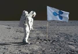 Ripple is working with regulators to create the new. Spike Hunter On Twitter Ripple Xrp Never Mind To The Moon Elonmusk Tesla For Modelx For Xmas Thanks Ripple Https T Co Adyo61so9u