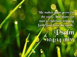 O lord my god, you are very great! Psalms For Teens 4 Praise Psalm 104 Robbie Mackenzie