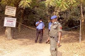 Wole soyinka, has added his voice to the discourse over herdsmen invasion and insecurity in the country, describing it as unacceptable and calling on. 3 Cows Strayed Into Professor Soyinka S House Not An Assassination Attempt Police Voiceheadlines