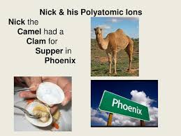 The first letter of each word stands for the first letter of there compound. Ppt Nick His Polyatomic Ions Nick The Camel Had A Clam For Supper In Phoenix Powerpoint Presentation Id 4678513