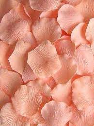 We give you plenty of options to choose from! Photo Orange Aesthetic Peach Aesthetic Pastel Aesthetic