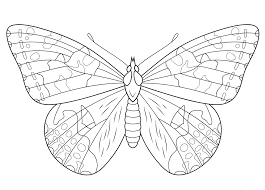 Print the pdf on 8.5 inch by 11 inch, letter sized paper. Painted Lady Butterfly Coloring Page Butterfly Coloring Page Super Coloring Pages Insect Coloring Pages