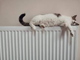 Radiateur Electrique Fonctionnement Et Avantages Hellio