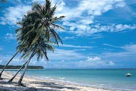 Beaches Photo Bahia Brazil Brazil Beaches Bahia Beach