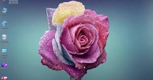 طريقة تحميل صور عالية الجودة Hd Youtube Beautiful Roses Colorful Roses Rose Flower