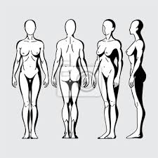 Find over 100+ of the best free woman body images. Imprints Of The Hands On Naked Female Body Leinwandbilder Bilder Spur Bustenhalter Behalten Myloview De