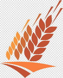 Cartoon Wheat Transparent Background Png Cliparts Free Download Hiclipart Brown has a slightly nuttier taste and grittier texture. cartoon wheat transparent background