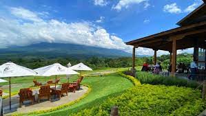2 days ago · about 25 miles south of guatemala's capital, rising 2,800 feet over sea level, the pacaya volcano overlooks the nearby villages of san vicente pacaya and amatitlán. Finca San Cayetano En Antigua Guatemala El Restaurante Con Vistas Panoramicas