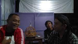 Sebisa mungkin kita harus punya alasan kenapa harus sekarang untuk berbuat baik kepada yang terdekat atau paling asing atau paling mudah. Pelihara Perkutut Lokal Yang Bagus Harus Ganjil Apakah Benar Gitu Klo Menurut Saya Genap Youtube