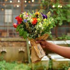 Locally crafted bouquets sold online for fair and honest prices with free delivery. Flowers For Dreams 435 Photos 558 Reviews Florists 1812 W Hubbard Chicago Il Phone Number Yelp