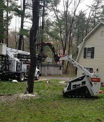 Tree Services Central Massachusetts Tree Service Tree Company Tree Removal