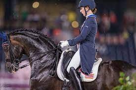 Equestrian events is a broad term describing all sport with horses. 5g8n1p1fbvk4xm