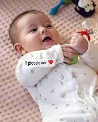 Che batuffolino il piccolo can (figlio di Oylum, in tradimento ) Con quelle  guanciotte pacioccose 🥰🥰