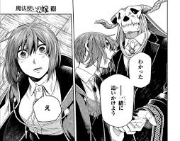 魔法使い の 嫁 ネタバレ