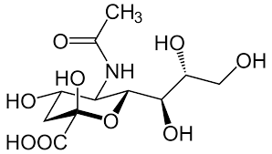 Le lectine si legano specificamente con zuccheri e oligosaccaridi, incluse glicoproteine presenti sulla. Acido Sialico Wikipedia