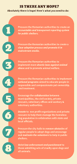 Două localități din județul argeș intră în carantină după creșterea cazurilor. Life Of A Romanian Homeless Dog 1 Of 3