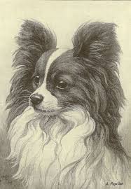 Baby Black And White Papillon Vintage 1935 Black And White Dog Print Papillon Toy Spaniel Nina Scott Langley Book Illustration Book Plate Papillon Dog Dog Print Art Antique Dog Prints