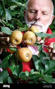 Sheriff charles hi-res stock photography and images